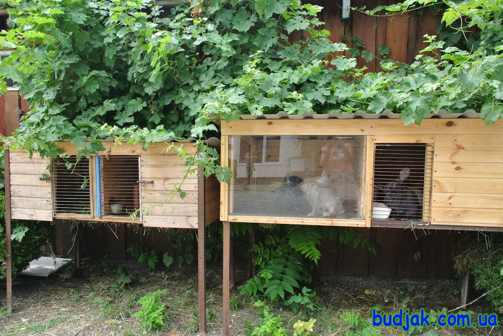 Пансионат отдыха Fortuna на курорте Лебедевка. Фото N 7275. 2016 год